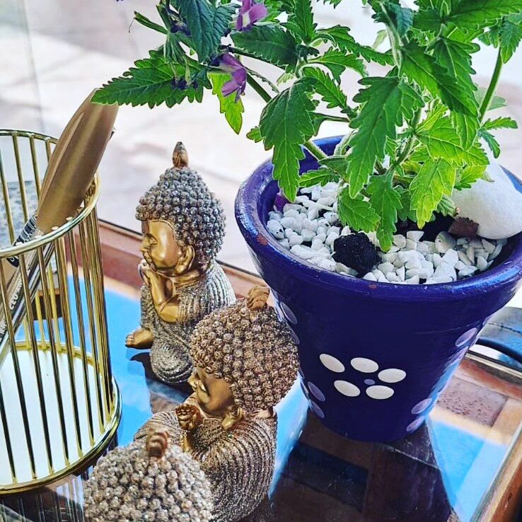 YogaHaLuna